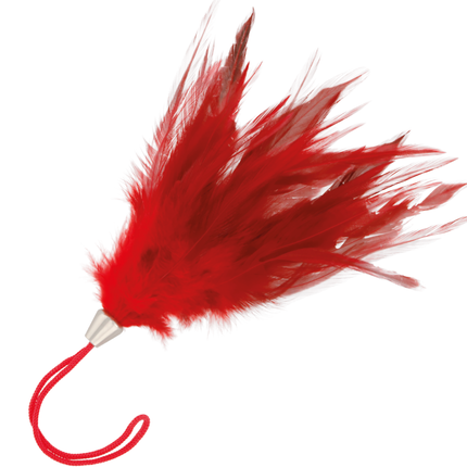 Collection image for: Penne Stimolanti per Sensazioni Fisiche ed Erotiche