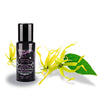 voulez vous olio da massaggio afrodis aco ylang ylang e cola 30 ml