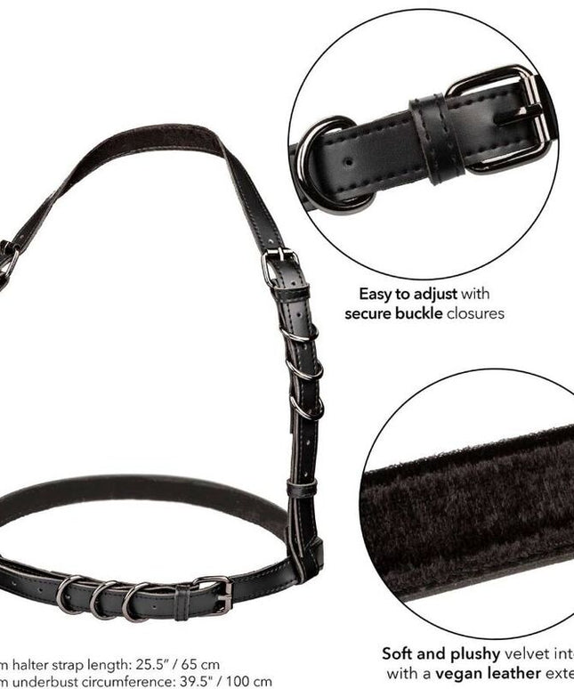 CALEXOTICS - EUPHORIA IMBRACATURA CON FIBBIA HALTER NERA