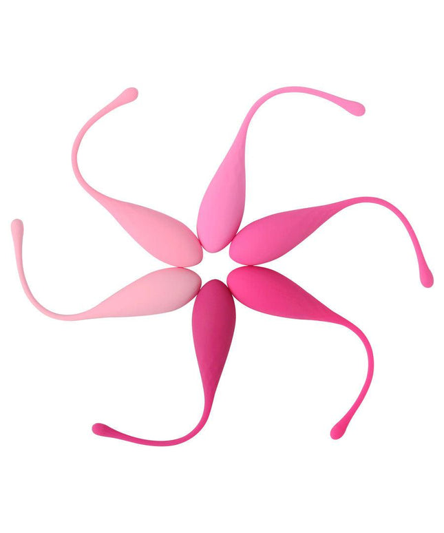 leslie set per allenamento muscoli pelvici kegel fit 6 pezzi