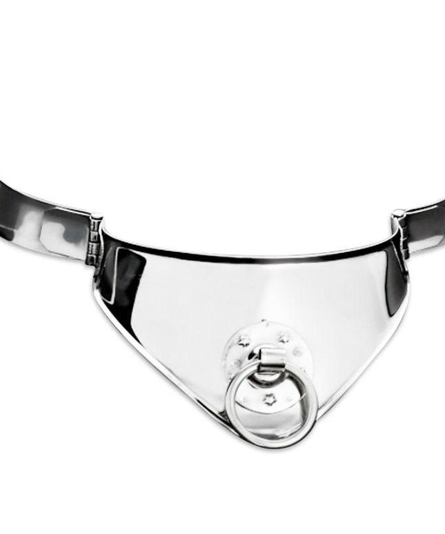 metal hard collare di contenimento rigido in metallo con anello e lucchetto 12 5 cm