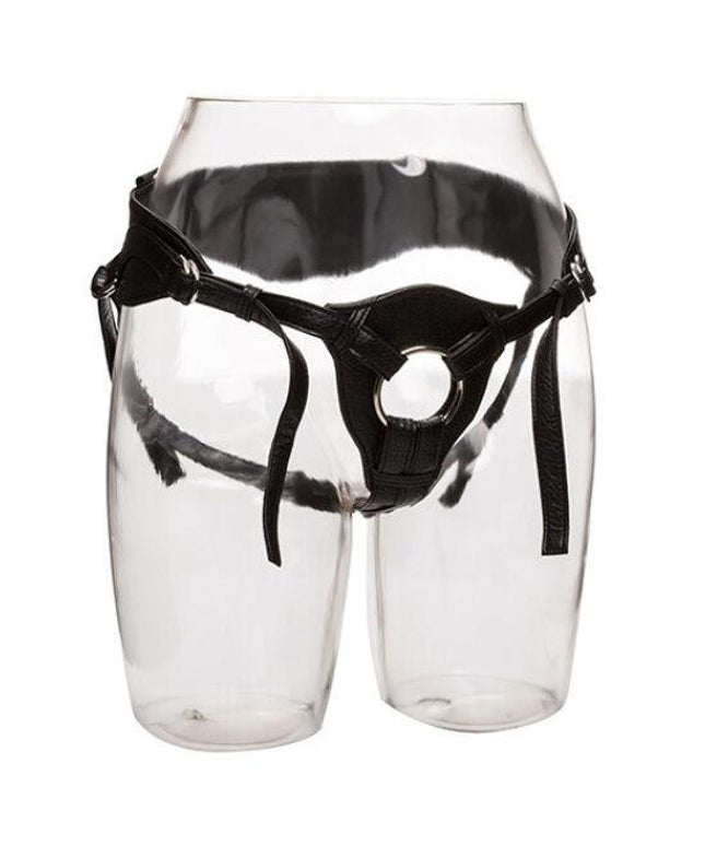 california exotics qui royal pettorina the queen taglia unica