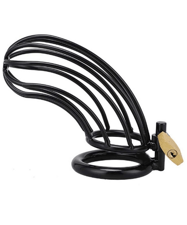 metal hard gabbia per anelli di castit per uccelli neri