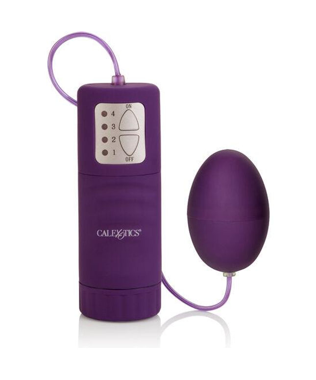 california exotics pocket exotics uovo impermeabile viola 4v