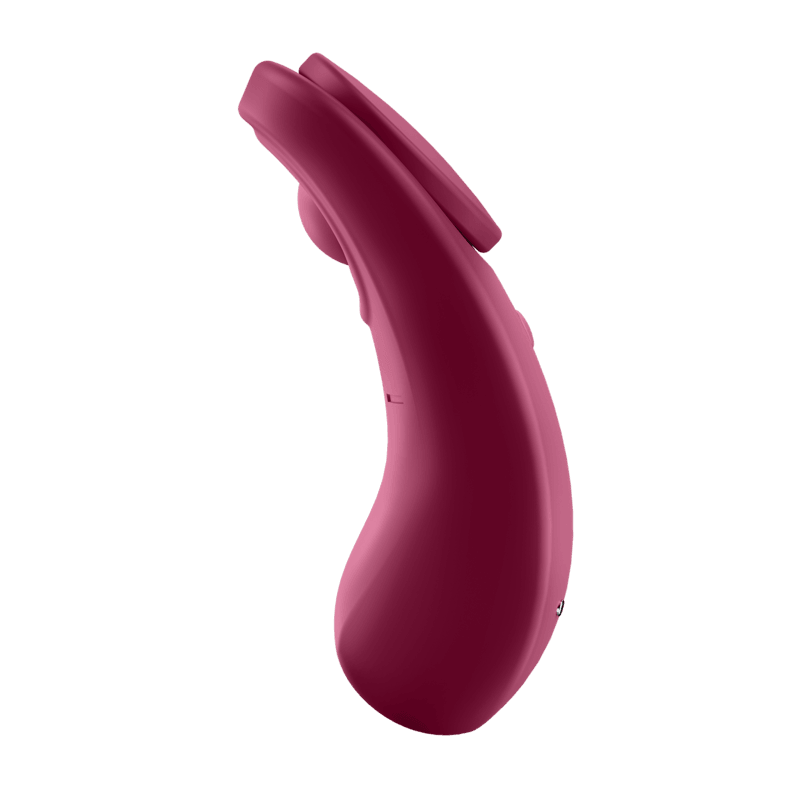 satisfyer sexy secret panty