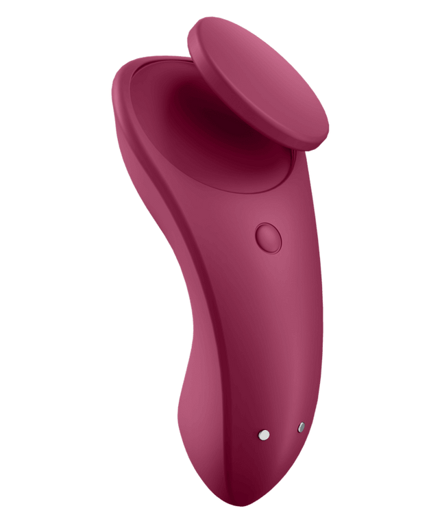 satisfyer sexy secret panty